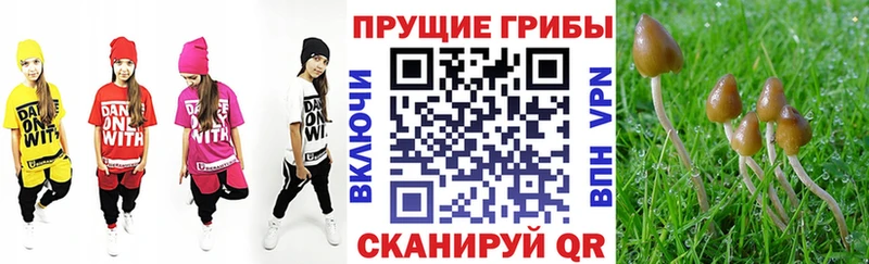 Галлюциногенные грибы Psilocybe  hydra рабочий сайт  Тетюши 